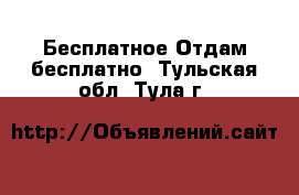 Бесплатное Отдам бесплатно. Тульская обл.,Тула г.